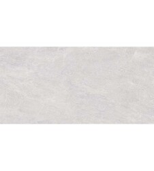 Emigres gres Trento Gris 60x120