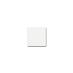 Vives gres Monocolor Taco Alaska 6,7x 6,7 decor