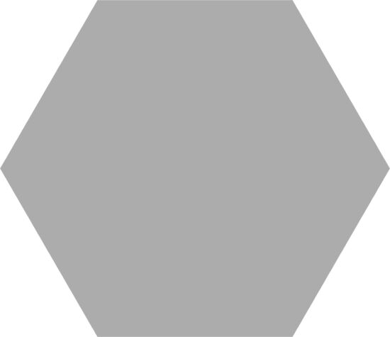 Codicer gres Basic Silver Hex 25 22x25 6229