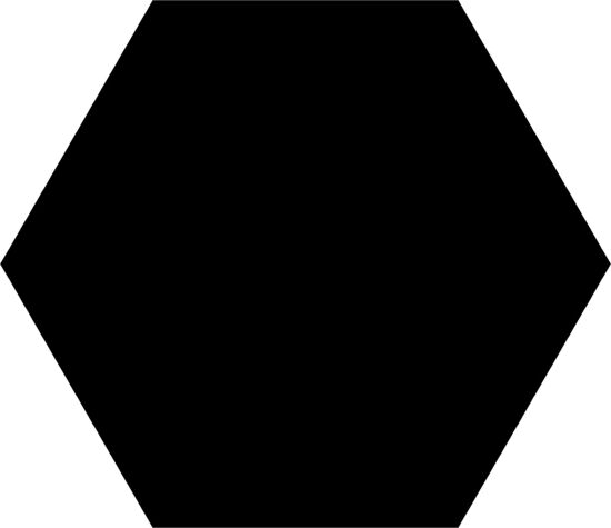 Codicer gres Basic Black Hex 25 22x25 6230