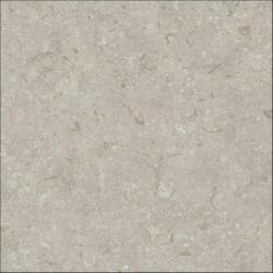 Grespania gres Fosil Gris naturalne 80x80 81F266R
