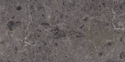 Grespania gres Artic Antracita Pulido 78x158 38RC69P