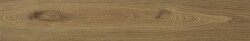 APE gres Koen Miele 20x120 A036298