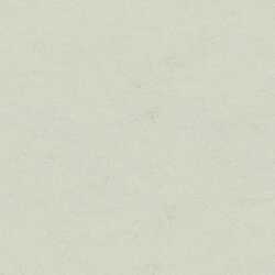 Mystone Basalto gres pomice rt 60x60 M26Q