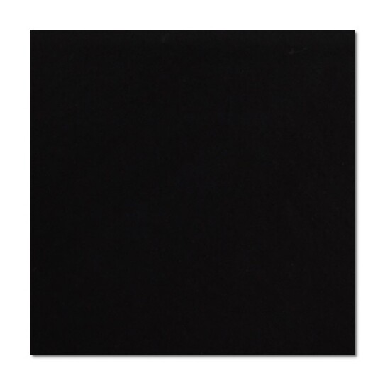 Vives płytka podłogowa Monocolor Negro 20x20 