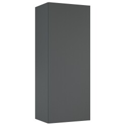Ellita szafka wisząca For All Anthracite mat 100x39,2 168338