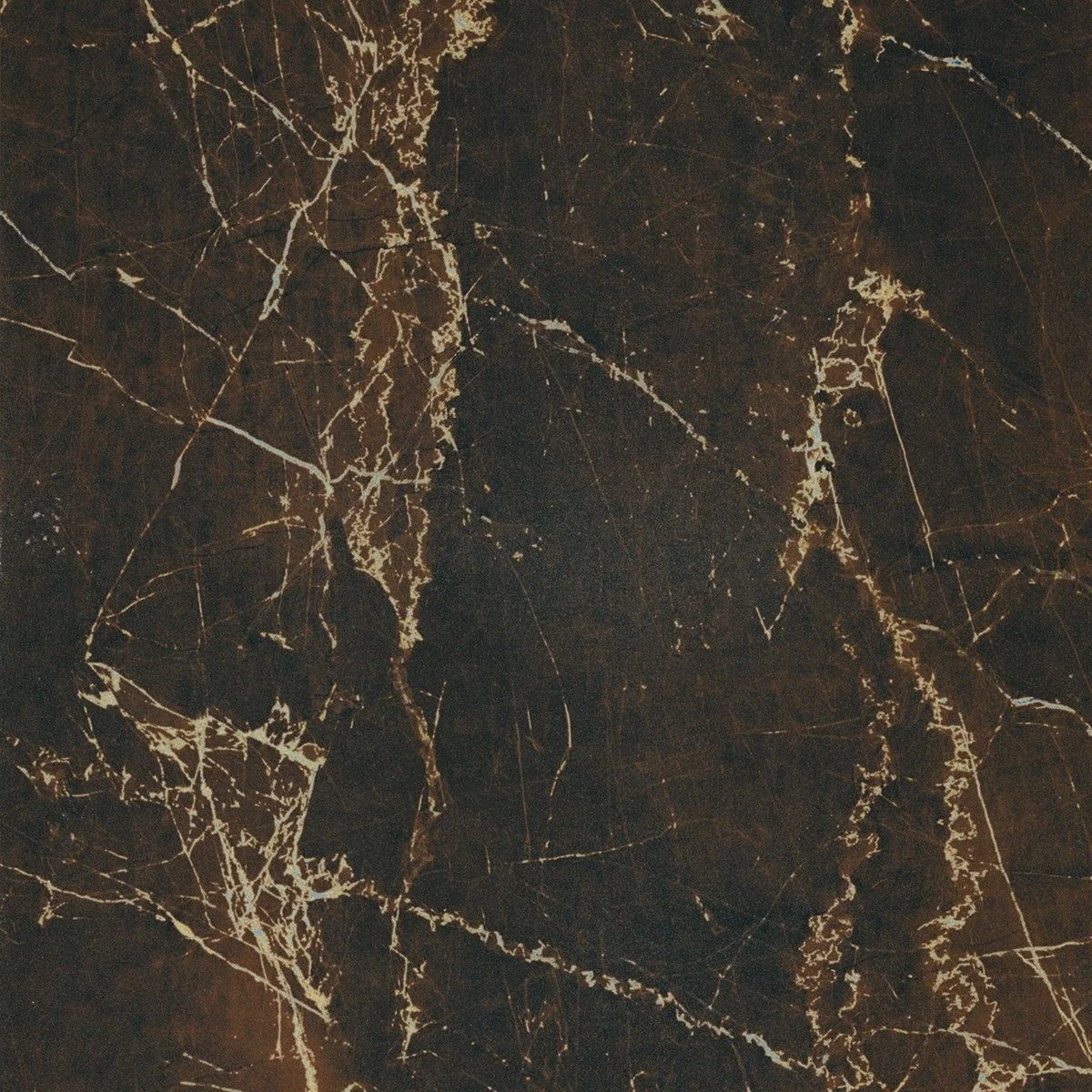 Alfalux gres Canova Collemandina Polished Rett. 60x60